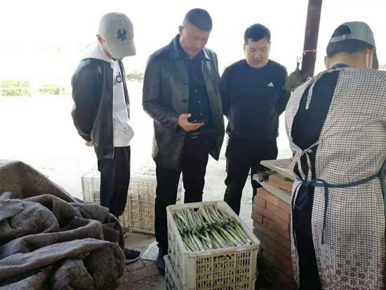 來自河南、山東、新疆的客人在種植園考察