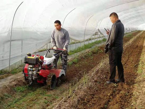 來自河南、山東、新疆的客人在種植園考察