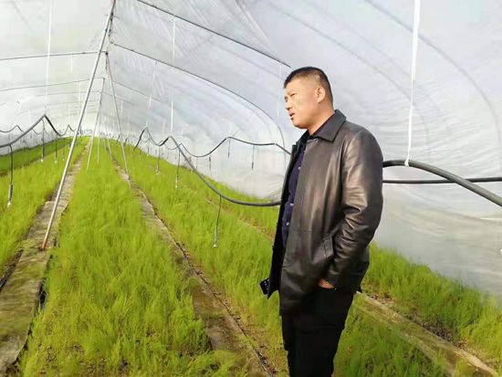 來自河南、山東、新疆的客人在種植園考察