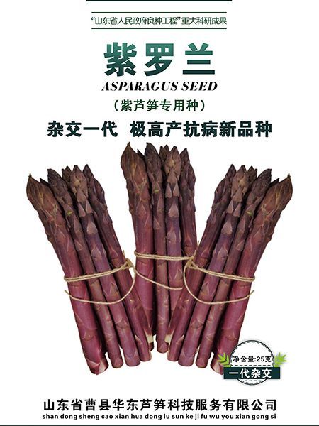 初次育苗者有哪些注意事項(xiàng)？